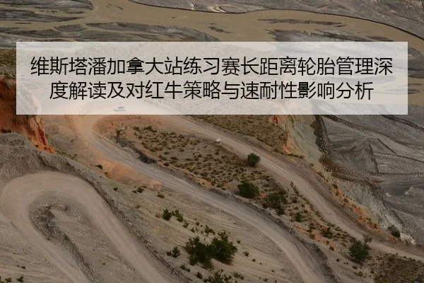 维斯塔潘加拿大站练习赛长距离轮胎管理深度解读及对红牛策略与速耐性影响分析