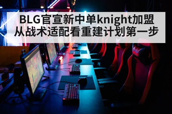 BLG官宣新中单knight加盟 从战术适配看重建计划第一步